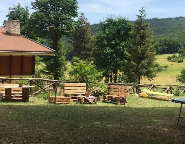 Olimpia Oda ve Kahvaltı